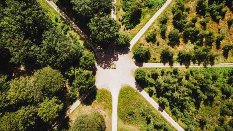 Der "Kongestjernen" im Parforcejagtlandskabet, von oben betrachtet, mit den acht geraden Wegen, die von der Mitte aus zwischen den Bäumen verlaufen.