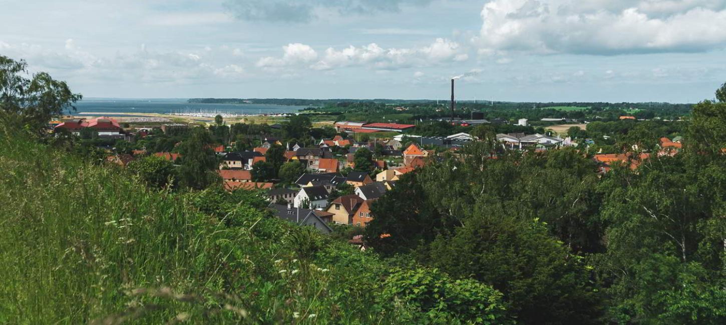 Blick auf die Dächer von Frederiksværk von einem Hügel mit dem Meer im Hintergrund.