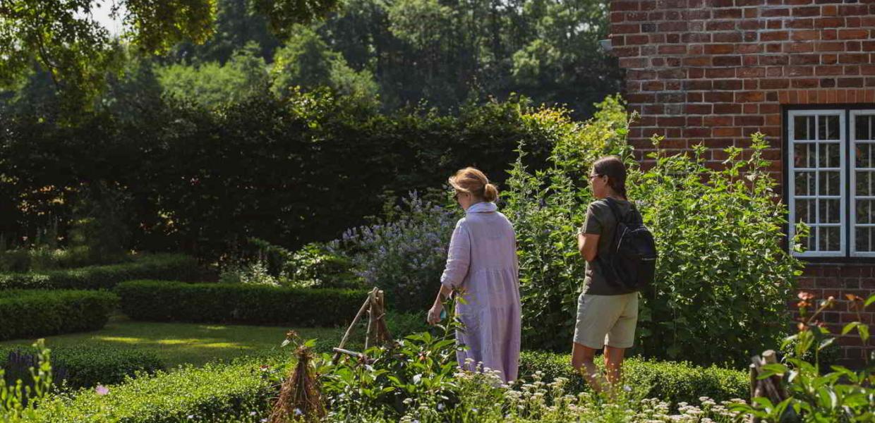 Zwei Frauen gehen durch den Kräutergarten und betrachten die Heilkräuter des Mittelalters im Esrum Kloster.