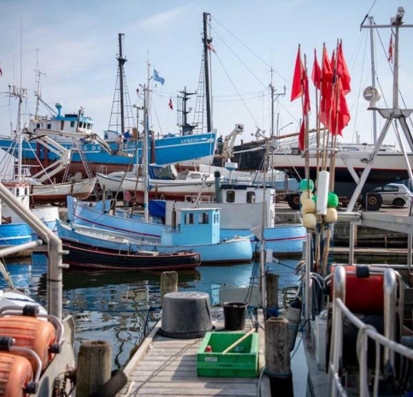 Gilleleje Havn er byens hjerte og omdrejningspunkt
