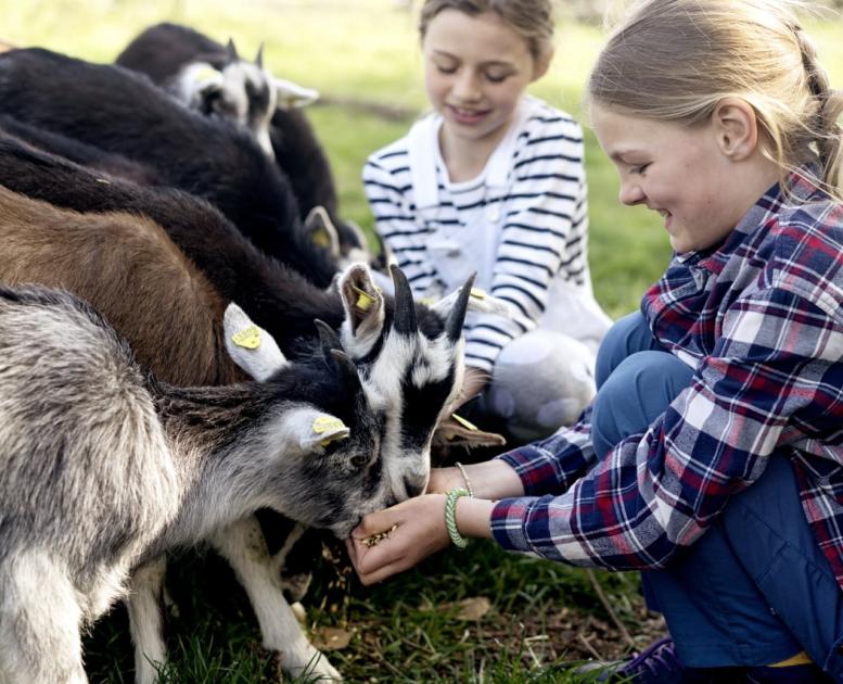 Tothaven Besøgsbondegaard Hundested