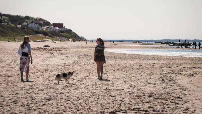 Med hund på Liseleje Strand