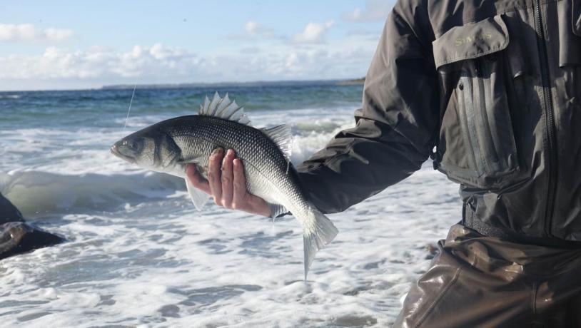 Fishing Danmark