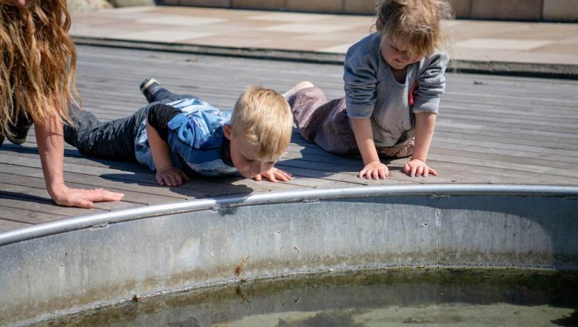 Am Hafen von Hundested können Kinder kostenlos Fische und Krabben streicheln.