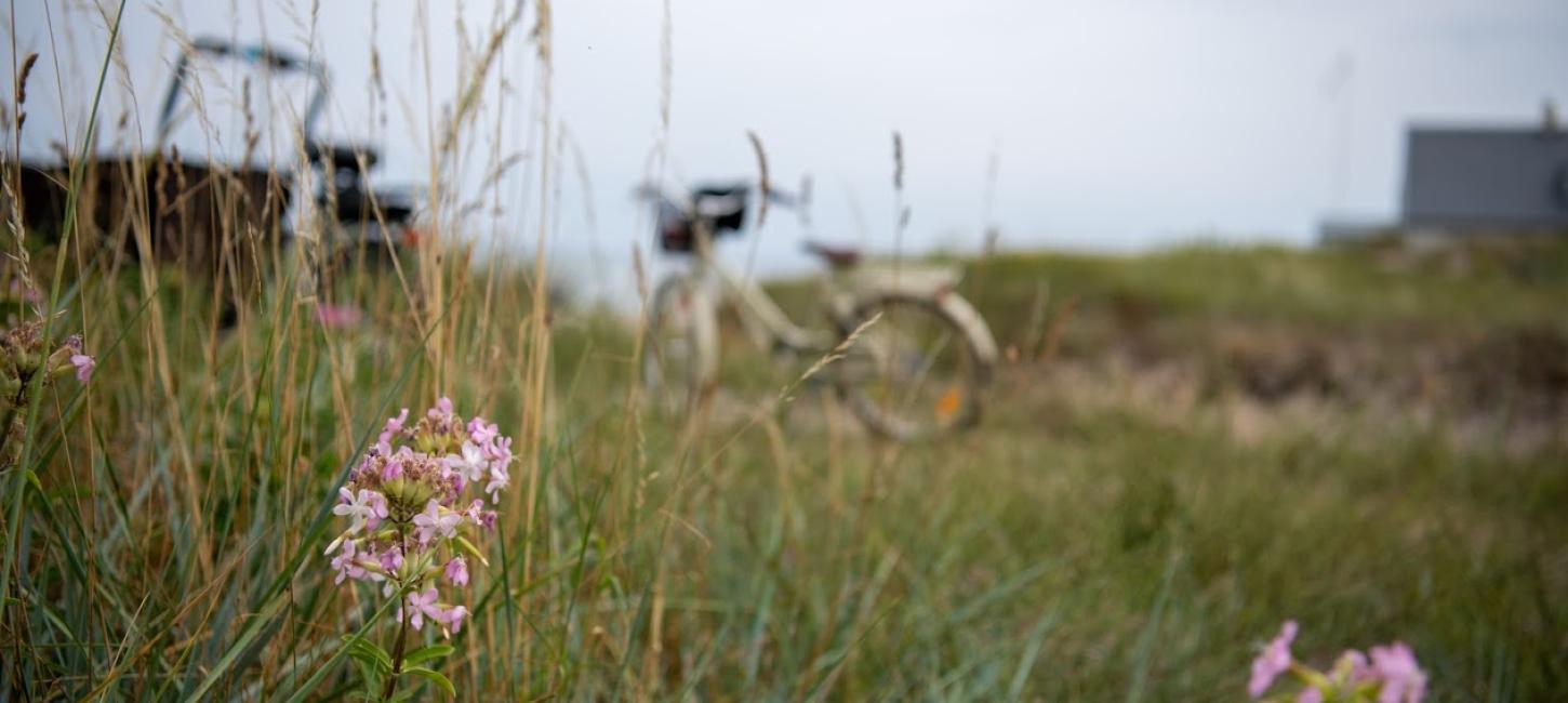 Cykelruter i Nordsjælland 