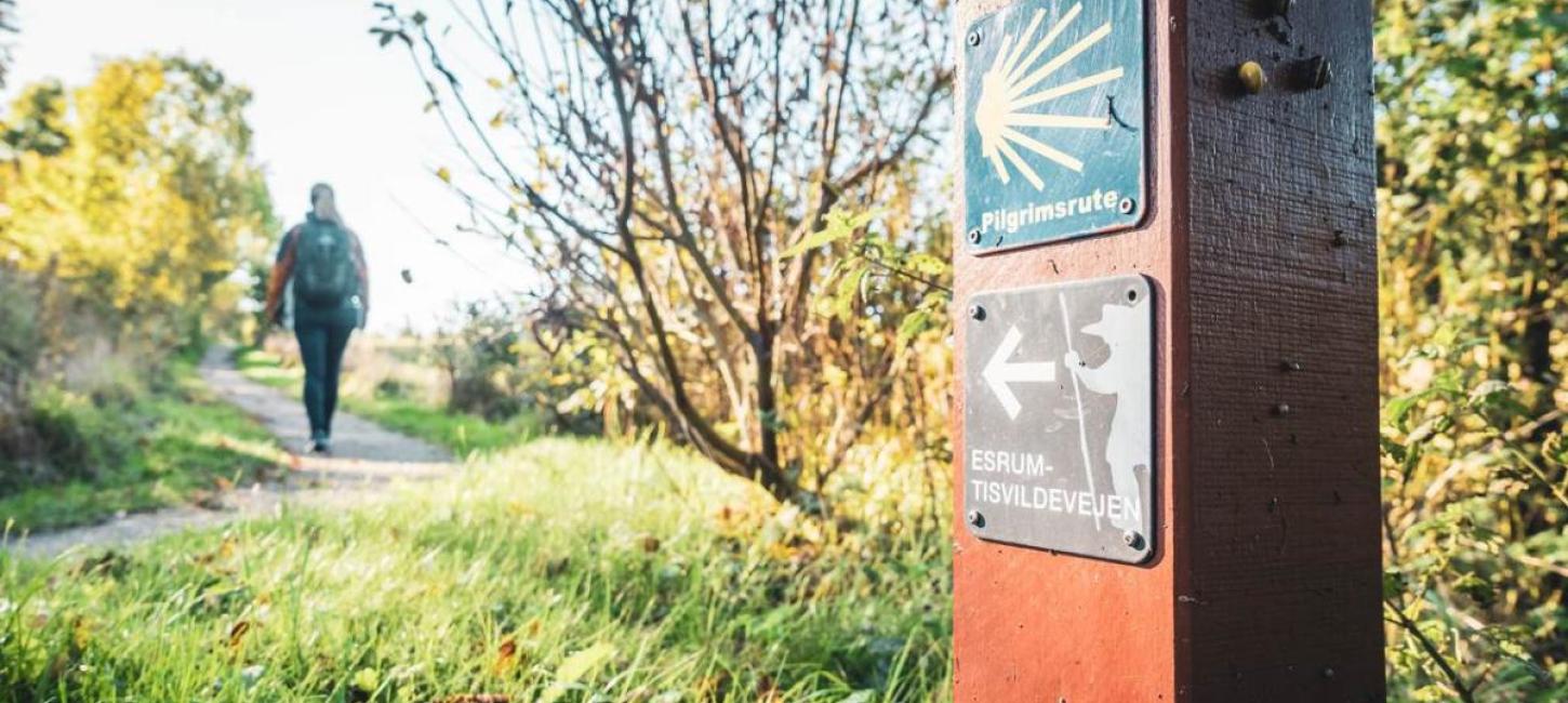 Tisvildevejen i Nordsjælland. En vandrerute med smukke naturoplevelser på Sjælland. 