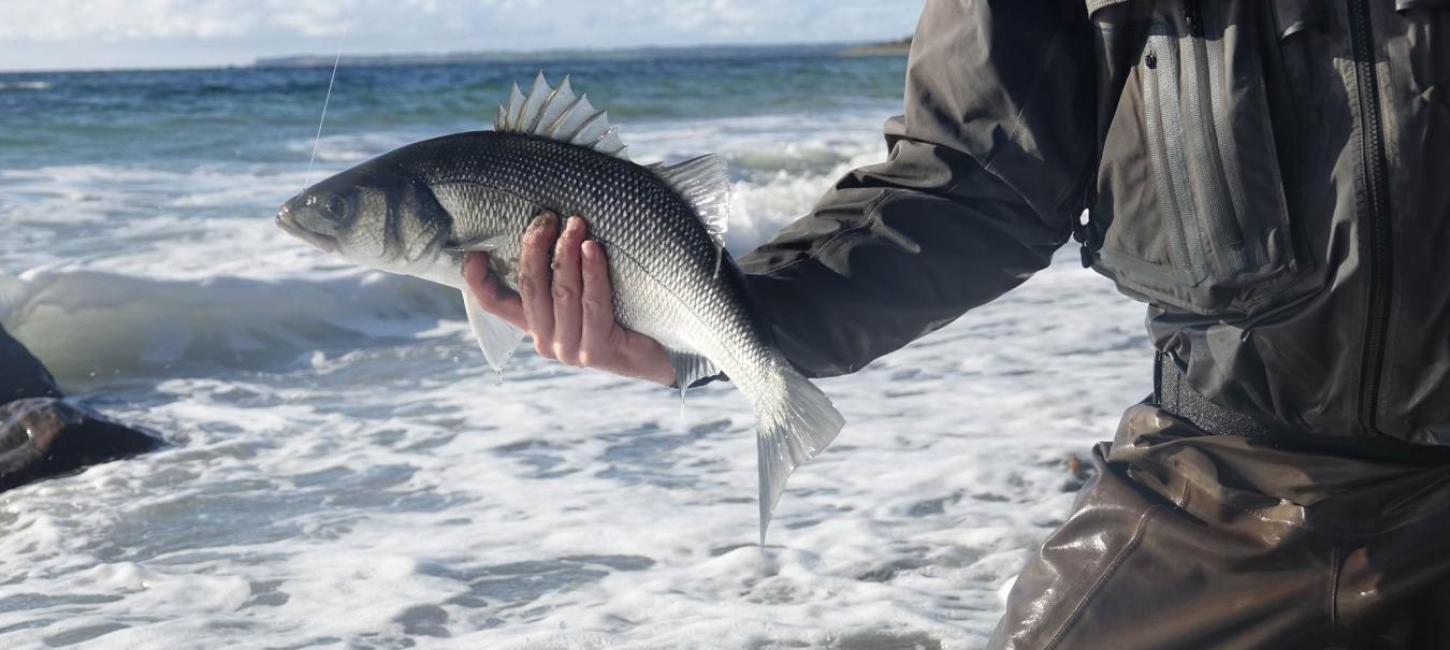 Fishing Danmark