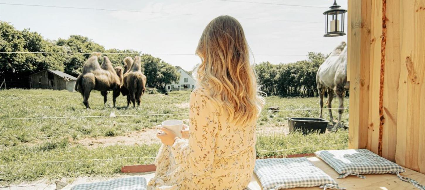 Glamping Nordsjælland