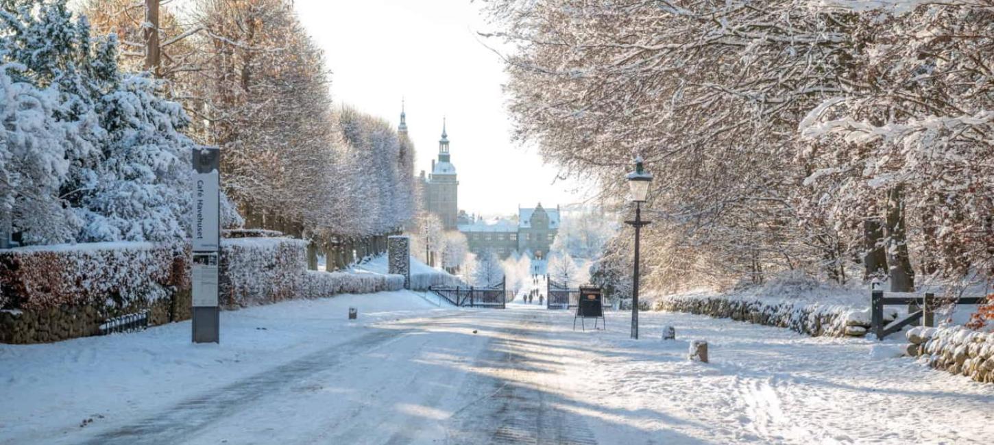 Fredensborg Slotshave indbyder til smukke gåture også om vinteren