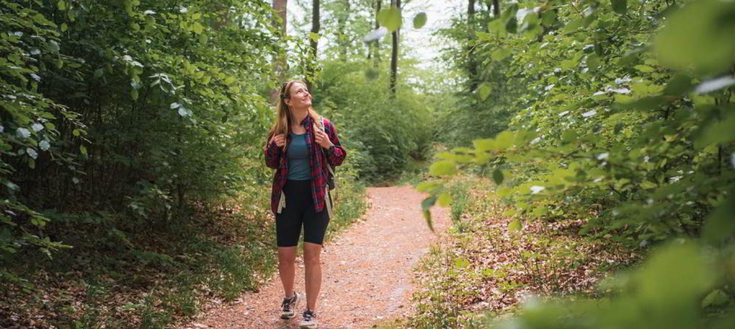 Tisvildevejen fra Hillerød til Melby Overdrev