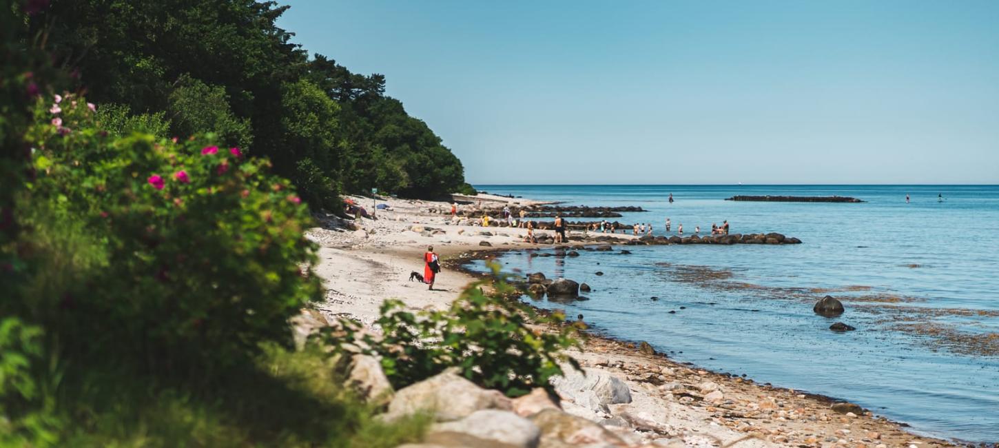 Stranden ved Munkeruphus i Dronningmølle