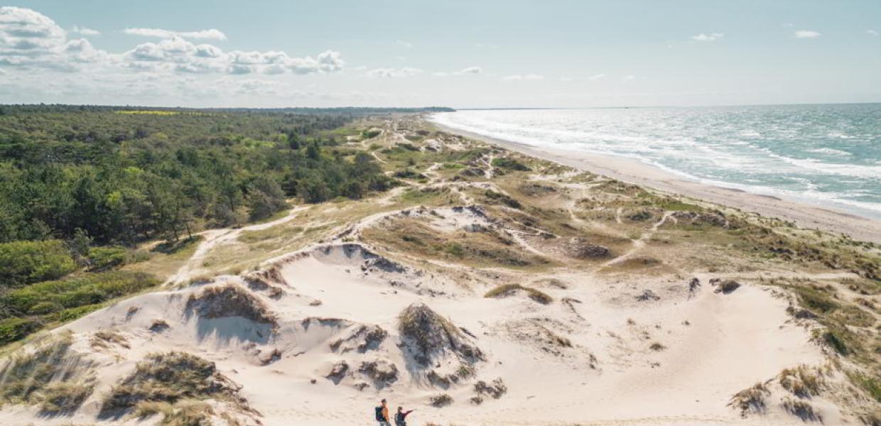 Melby Overdrev ist eine Heide- und Naturlandschaft zwischen Liseleje und Tisvildeleje.