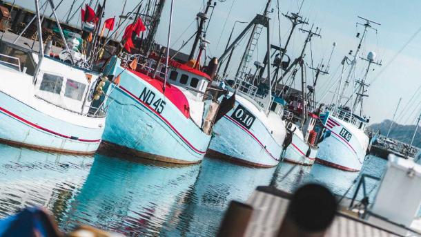Fiskekutterne ligger på rad og række i Gilleleje havn