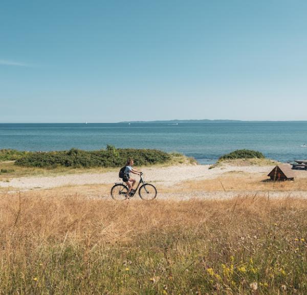 Cykel langs Nordkysten