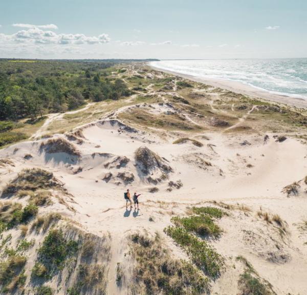 Melby Overdrev ist eine Heide- und Naturlandschaft zwischen Liseleje und Tisvildeleje.
