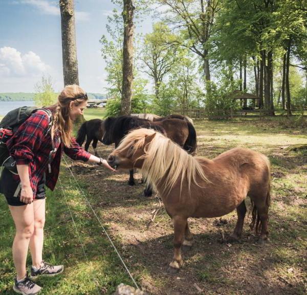 Tisvildevejen fra Hillerød til Melby Overdrev