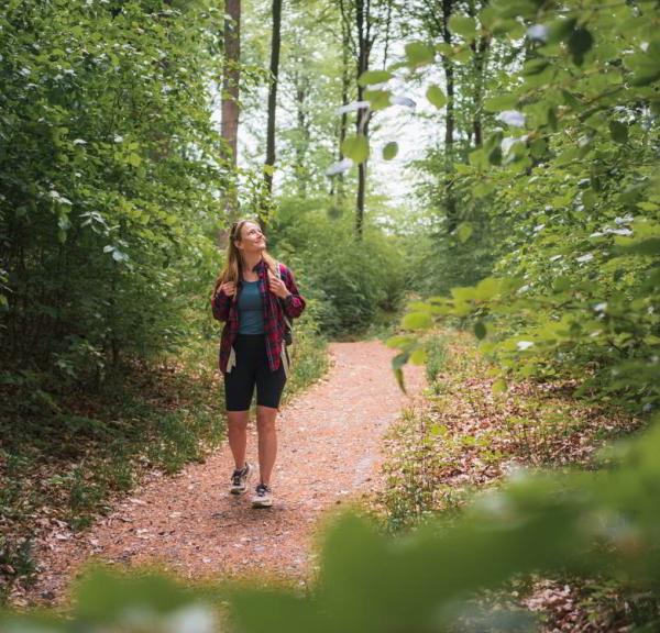 Tisvildevejen fra Hillerød til Melby Overdrev