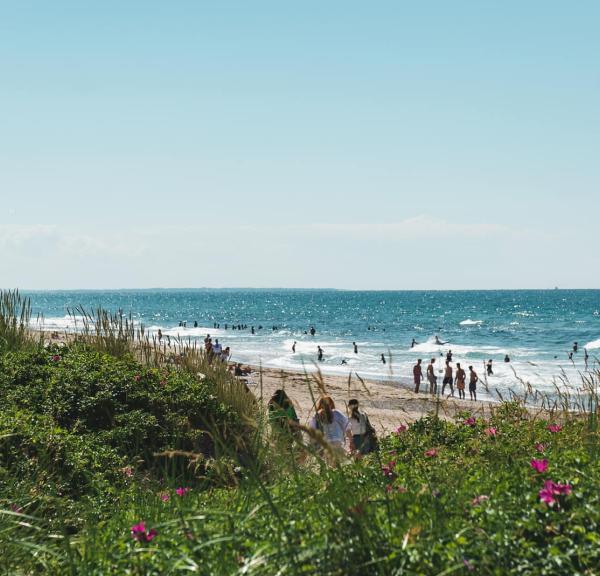 Ferrien am Strand in Tisvildeleje