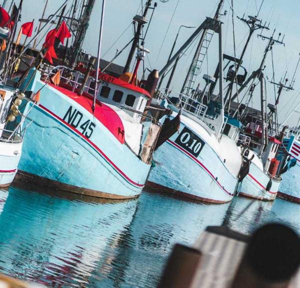 Fiskekutterne ligger på rad og række i Gilleleje havn