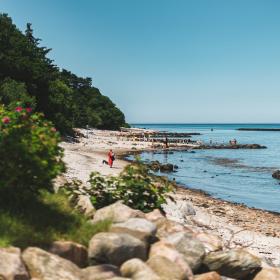 Stranden ved Munkeruphus i Dronningmølle