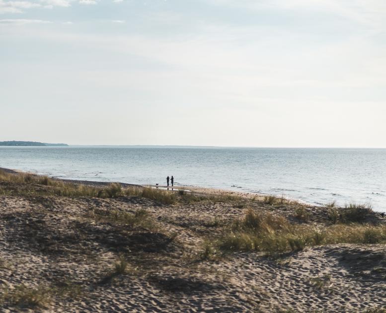 To mennesker går en tur på Tisvildeleje Strand