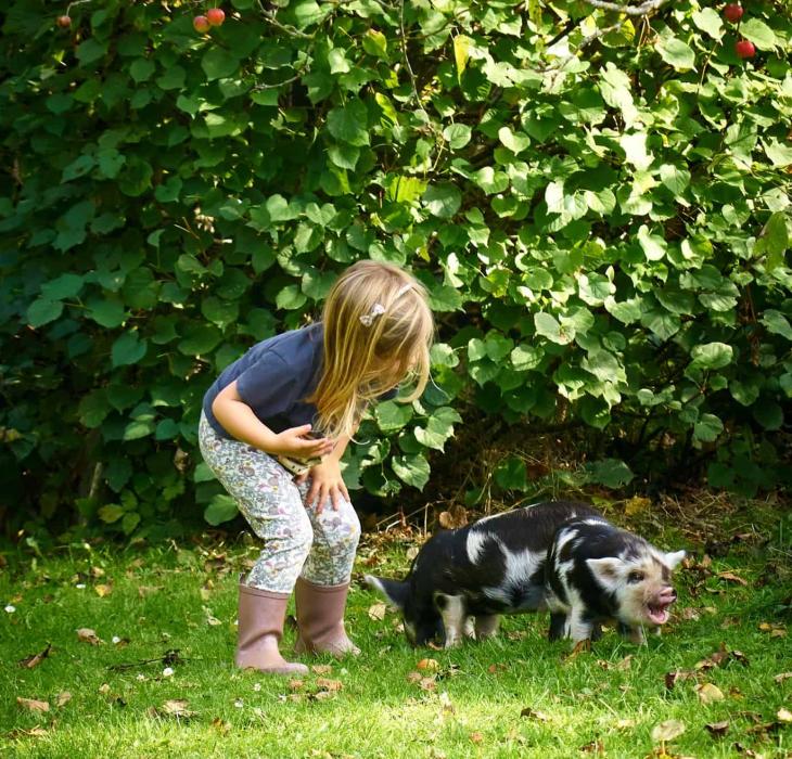 Tothaven Besøgsbondegård i Hundested