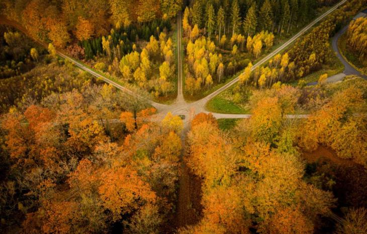 Parforcejagt landskabet i Nordsjælland. Stjernen i Dyrehaven